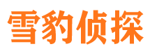 雅安市侦探公司